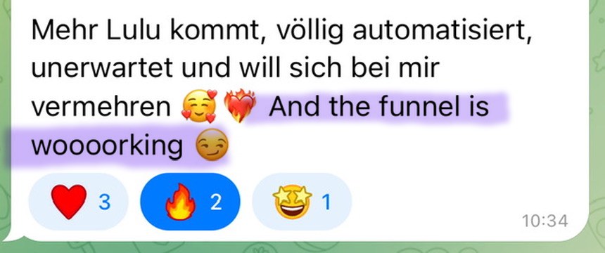 Nachricht einer Kundin: der Funnel läuft